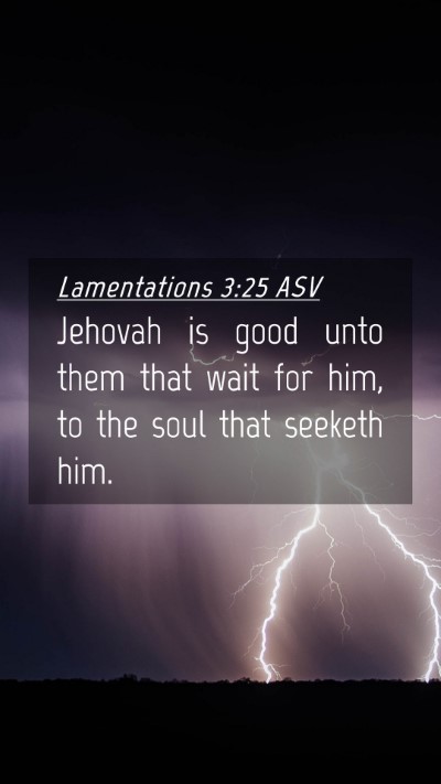 Picture 04 - Lamentations 3:25 ASV Mobile Phone Wallpaper - Jehovah is good unto them that wait for him, to - Mobile Bible Verse Wallpaper