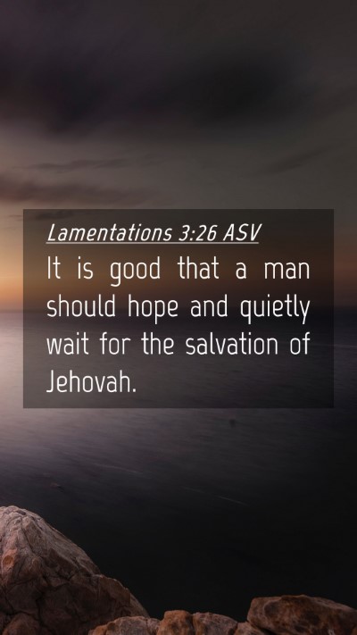 Picture 04 - Lamentations 3:26 ASV Mobile Phone Wallpaper - It is good that a man should hope and quietly - Mobile Bible Verse Wallpaper