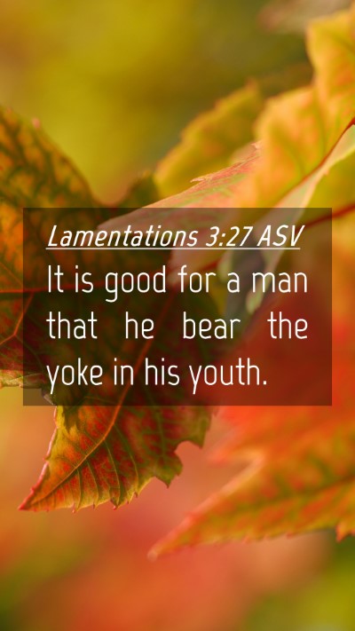 Picture 04 - Lamentations 3:27 ASV Mobile Phone Wallpaper - It is good for a man that he bear the yoke in his - Mobile Bible Verse Wallpaper