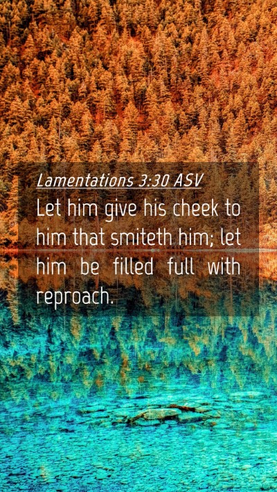 Picture 04 - Lamentations 3:30 ASV Mobile Phone Wallpaper - Let him give his cheek to him that smiteth him; - Mobile Bible Verse Wallpaper