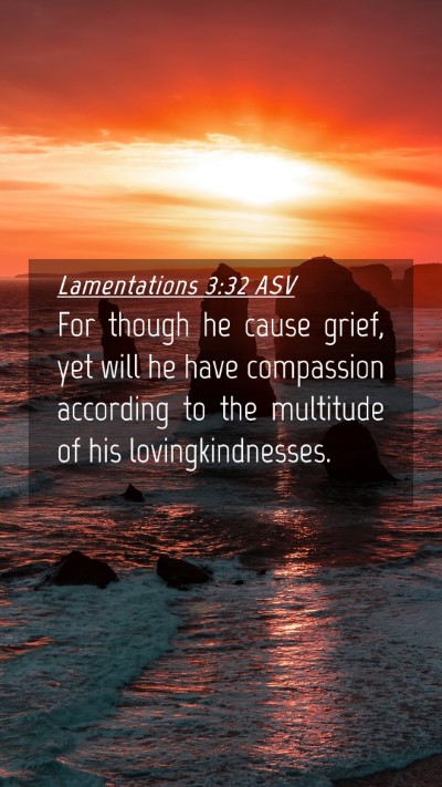 Picture 04 - Lamentations 3:32 ASV Mobile Phone Wallpaper - For though he cause grief, yet will he have - Mobile Bible Verse Wallpaper