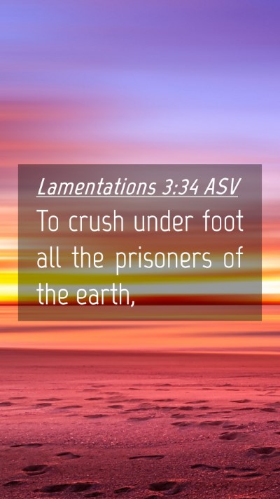 Picture 04 - Lamentations 3:34 ASV Mobile Phone Wallpaper - To crush under foot all the prisoners of the - Mobile Bible Verse Wallpaper