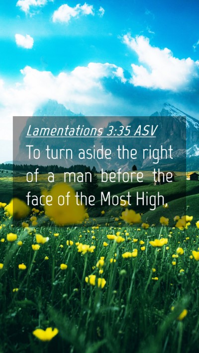Picture 04 - Lamentations 3:35 ASV Mobile Phone Wallpaper - To turn aside the right of a man before the face - Mobile Bible Verse Wallpaper