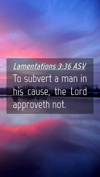 Picture 04 - Lamentations 3:36 ASV Mobile Phone Wallpaper - To subvert a man in his cause, the Lord approveth - Mobile Bible Verse Wallpaper
