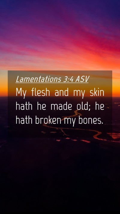 Picture 04 - Lamentations 3:4 ASV Mobile Phone Wallpaper - My flesh and my skin hath he made old; he hath - Mobile Bible Verse Wallpaper