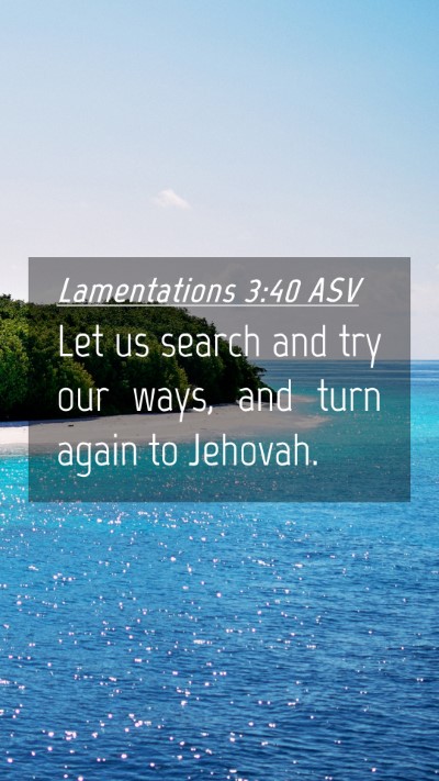 Picture 04 - Lamentations 3:40 ASV Mobile Phone Wallpaper - Let us search and try our ways, and turn again to - Mobile Bible Verse Wallpaper