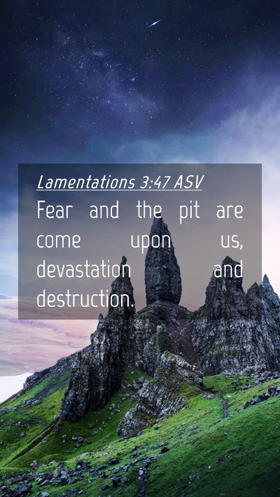 Picture 04 - Lamentations 3:47 ASV Mobile Phone Wallpaper - Fear and the pit are come upon us, devastation - Mobile Bible Verse Wallpaper