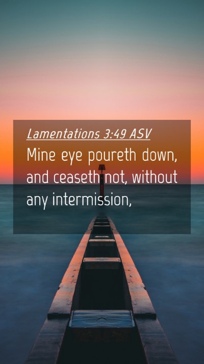 Picture 04 - Lamentations 3:49 ASV Mobile Phone Wallpaper - Mine eye poureth down, and ceaseth not, without - Mobile Bible Verse Wallpaper