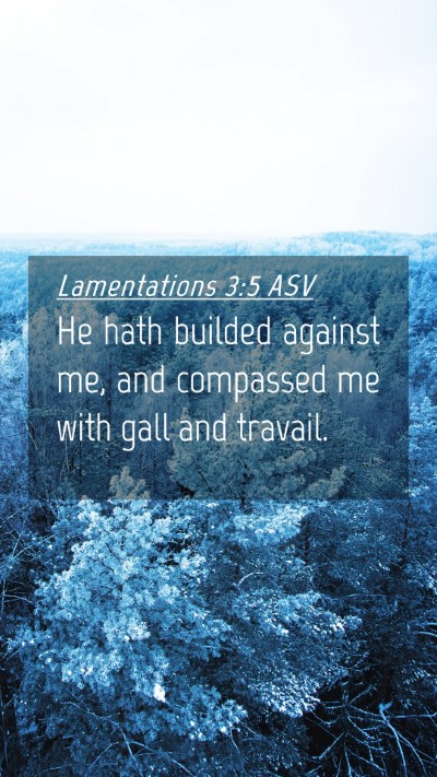 Picture 04 - Lamentations 3:5 ASV Mobile Phone Wallpaper - He hath builded against me, and compassed me with - Mobile Bible Verse Wallpaper