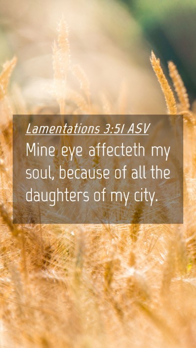 Picture 04 - Lamentations 3:51 ASV Mobile Phone Wallpaper - Mine eye affecteth my soul, because of all the - Mobile Bible Verse Wallpaper