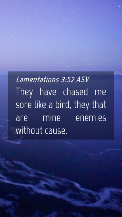 Picture 04 - Lamentations 3:52 ASV Mobile Phone Wallpaper - They have chased me sore like a bird, they that - Mobile Bible Verse Wallpaper
