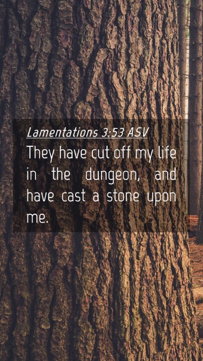 Picture 04 - Lamentations 3:53 ASV Mobile Phone Wallpaper - They have cut off my life in the dungeon, and - Mobile Bible Verse Wallpaper