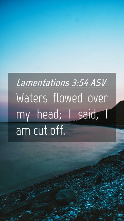 Picture 04 - Lamentations 3:54 ASV Mobile Phone Wallpaper - Waters flowed over my head; I said, I am cut - Mobile Bible Verse Wallpaper