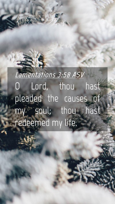 Picture 04 - Lamentations 3:58 ASV Mobile Phone Wallpaper - O Lord, thou hast pleaded the causes of my soul; - Mobile Bible Verse Wallpaper