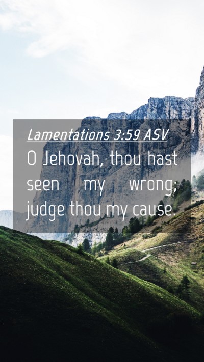 Picture 04 - Lamentations 3:59 ASV Mobile Phone Wallpaper - O Jehovah, thou hast seen my wrong; judge thou my - Mobile Bible Verse Wallpaper