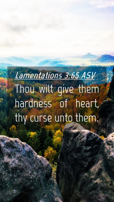 Picture 04 - Lamentations 3:65 ASV Mobile Phone Wallpaper - Thou wilt give them hardness of heart, thy curse - Mobile Bible Verse Wallpaper