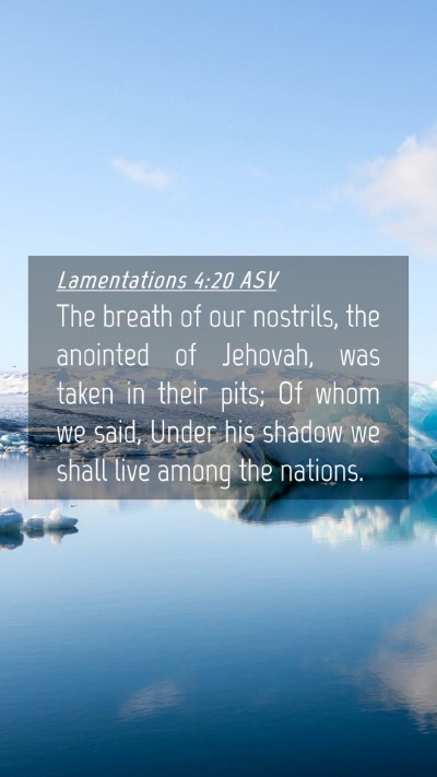 Picture 04 - Lamentations 4:20 ASV Mobile Phone Wallpaper - The breath of our nostrils, the anointed of - Mobile Bible Verse Wallpaper