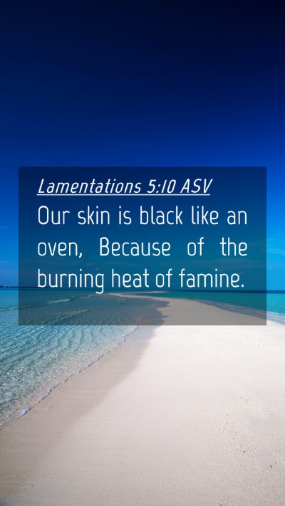 Picture 04 - Lamentations 5:10 ASV Mobile Phone Wallpaper - Our skin is black like an oven, Because of the - Mobile Bible Verse Wallpaper