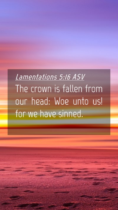 Picture 04 - Lamentations 5:16 ASV Mobile Phone Wallpaper - The crown is fallen from our head: Woe unto us! - Mobile Bible Verse Wallpaper