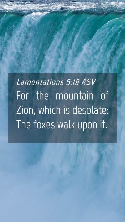 Picture 04 - Lamentations 5:18 ASV Mobile Phone Wallpaper - For the mountain of Zion, which is desolate: The - Mobile Bible Verse Wallpaper