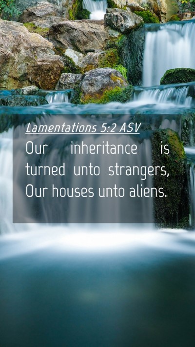 Picture 04 - Lamentations 5:2 ASV Mobile Phone Wallpaper - Our inheritance is turned unto strangers, Our - Mobile Bible Verse Wallpaper