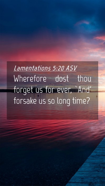 Picture 04 - Lamentations 5:20 ASV Mobile Phone Wallpaper - Wherefore dost thou forget us for ever, `And' - Mobile Bible Verse Wallpaper