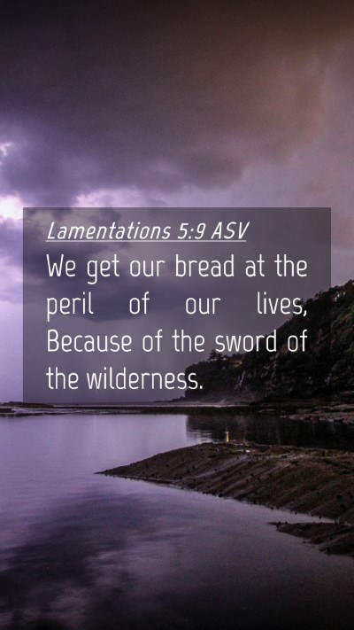 Picture 04 - Lamentations 5:9 ASV Mobile Phone Wallpaper - We get our bread at the peril of our lives, - Mobile Bible Verse Wallpaper
