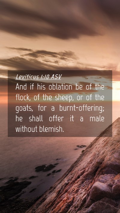 Picture 04 - Leviticus 1:10 ASV Mobile Phone Wallpaper - And if his oblation be of the flock, of the - Mobile Bible Verse Wallpaper