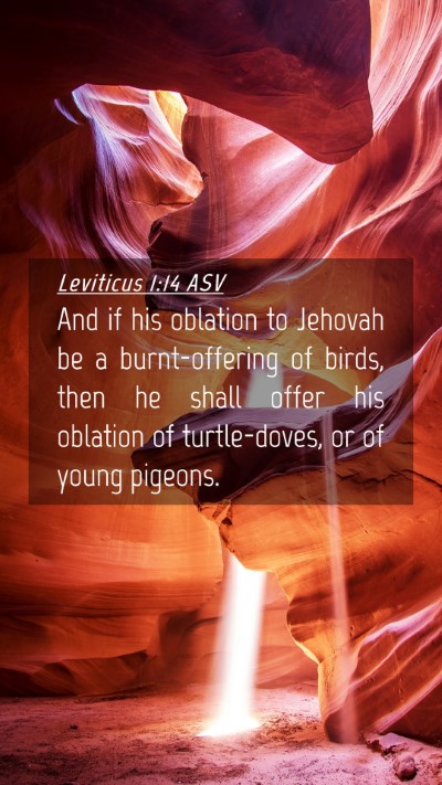 Picture 04 - Leviticus 1:14 ASV Mobile Phone Wallpaper - And if his oblation to Jehovah be a - Mobile Bible Verse Wallpaper