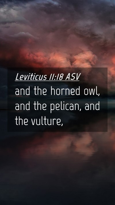 Picture 04 - Leviticus 11:18 ASV Mobile Phone Wallpaper - and the horned owl, and the pelican, and the - Mobile Bible Verse Wallpaper