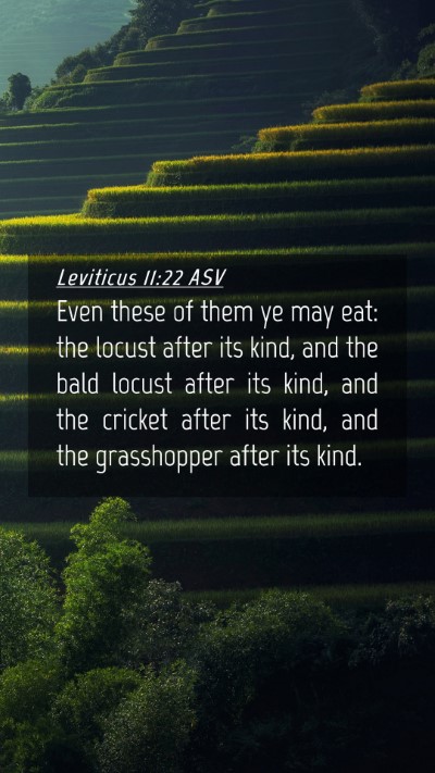 Picture 04 - Leviticus 11:22 ASV Mobile Phone Wallpaper - Even these of them ye may eat: the locust after - Mobile Bible Verse Wallpaper