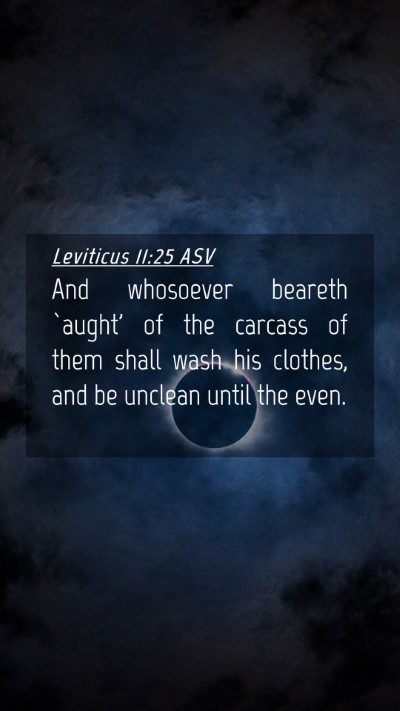 Picture 04 - Leviticus 11:25 ASV Mobile Phone Wallpaper - And whosoever beareth `aught' of the carcass of - Mobile Bible Verse Wallpaper