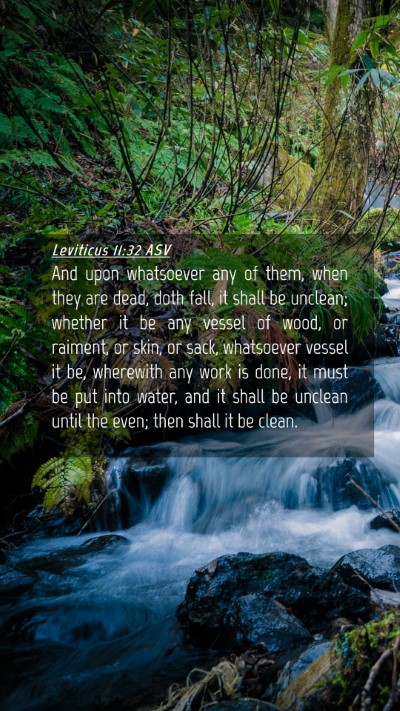 Picture 04 - Leviticus 11:32 ASV Mobile Phone Wallpaper - And upon whatsoever any of them, when they are - Mobile Bible Verse Wallpaper