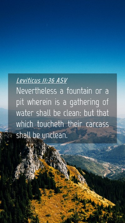 Picture 04 - Leviticus 11:36 ASV Mobile Phone Wallpaper - Nevertheless a fountain or a pit wherein is a - Mobile Bible Verse Wallpaper