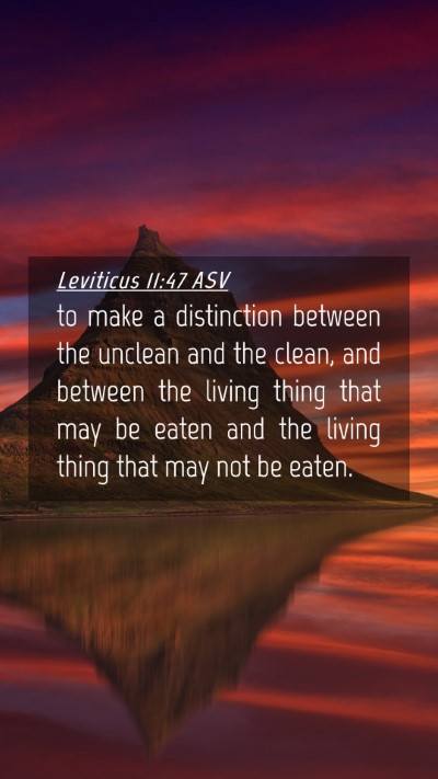 Picture 04 - Leviticus 11:47 ASV Mobile Phone Wallpaper - to make a distinction between the unclean and the - Mobile Bible Verse Wallpaper