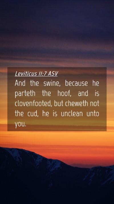 Picture 04 - Leviticus 11:7 ASV Mobile Phone Wallpaper - And the swine, because he parteth the hoof, and - Mobile Bible Verse Wallpaper