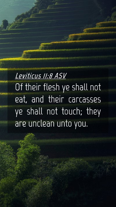Picture 04 - Leviticus 11:8 ASV Mobile Phone Wallpaper - Of their flesh ye shall not eat, and their - Mobile Bible Verse Wallpaper