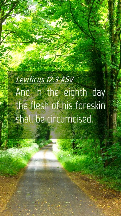 Picture 04 - Leviticus 12:3 ASV Mobile Phone Wallpaper - And in the eighth day the flesh of his foreskin - Mobile Bible Verse Wallpaper