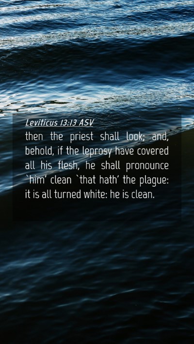 Picture 04 - Leviticus 13:13 ASV Mobile Phone Wallpaper - then the priest shall look; and, behold, if the - Mobile Bible Verse Wallpaper