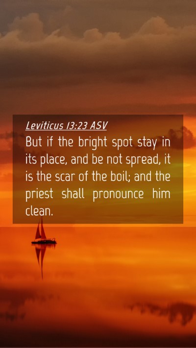 Picture 04 - Leviticus 13:23 ASV Mobile Phone Wallpaper - But if the bright spot stay in its place, and be - Mobile Bible Verse Wallpaper