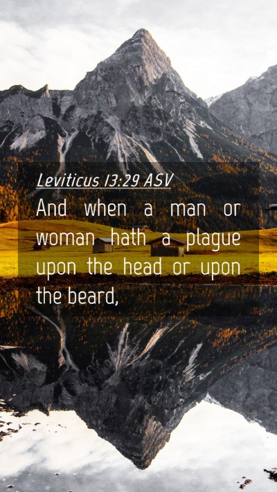 Picture 04 - Leviticus 13:29 ASV Mobile Phone Wallpaper - And when a man or woman hath a plague upon the - Mobile Bible Verse Wallpaper