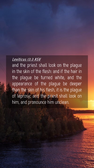 Picture 04 - Leviticus 13:3 ASV Mobile Phone Wallpaper - and the priest shall look on the plague in the - Mobile Bible Verse Wallpaper