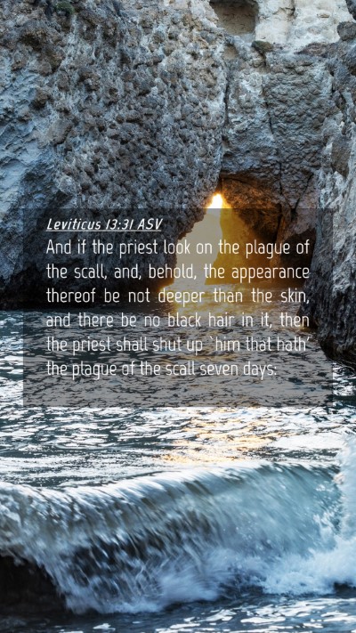 Picture 04 - Leviticus 13:31 ASV Mobile Phone Wallpaper - And if the priest look on the plague of the - Mobile Bible Verse Wallpaper