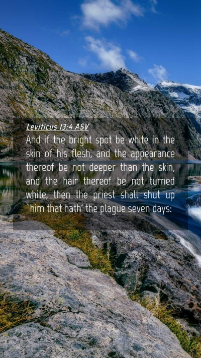 Picture 04 - Leviticus 13:4 ASV Mobile Phone Wallpaper - And if the bright spot be white in the skin of - Mobile Bible Verse Wallpaper