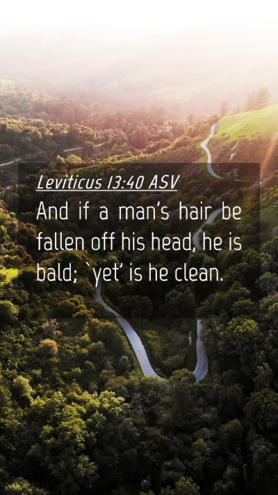 Picture 04 - Leviticus 13:40 ASV Mobile Phone Wallpaper - And if a man's hair be fallen off his head, he is - Mobile Bible Verse Wallpaper