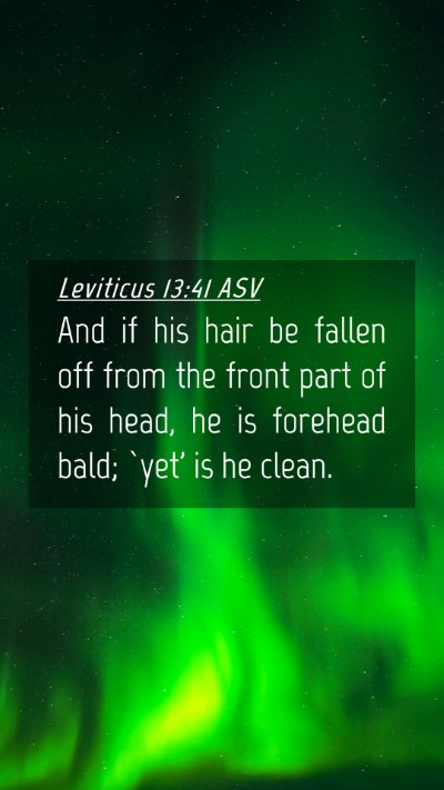 Picture 04 - Leviticus 13:41 ASV Mobile Phone Wallpaper - And if his hair be fallen off from the front part - Mobile Bible Verse Wallpaper