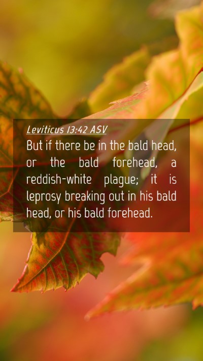 Picture 04 - Leviticus 13:42 ASV Mobile Phone Wallpaper - But if there be in the bald head, or the bald - Mobile Bible Verse Wallpaper