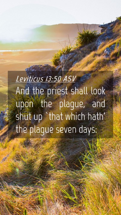Picture 04 - Leviticus 13:50 ASV Mobile Phone Wallpaper - And the priest shall look upon the plague, and - Mobile Bible Verse Wallpaper