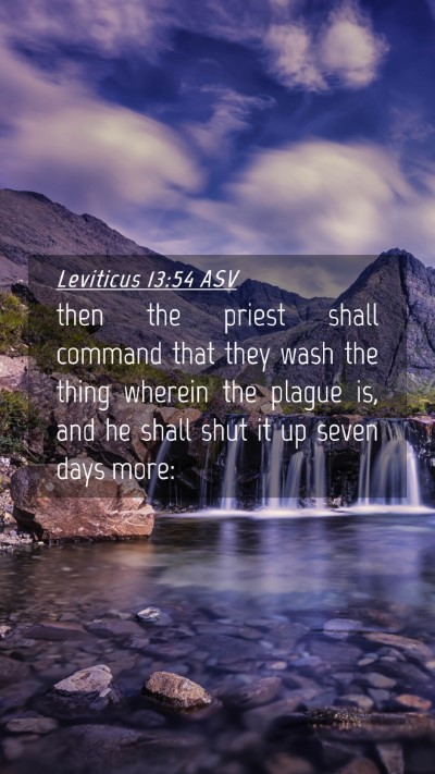 Picture 04 - Leviticus 13:54 ASV Mobile Phone Wallpaper - then the priest shall command that they wash the - Mobile Bible Verse Wallpaper