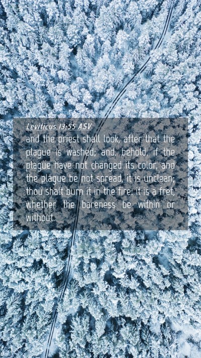 Picture 04 - Leviticus 13:55 ASV Mobile Phone Wallpaper - and the priest shall look, after that the plague - Mobile Bible Verse Wallpaper